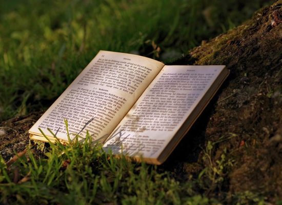 Książka: Tarnowskie G&oacute;ry Fantastycznie - antologia tarnog&oacute;rskich opowiadań