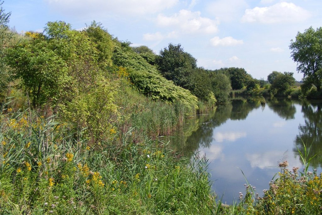 Tarnowskie Góry