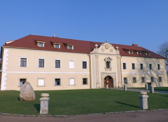 Ruch polski w Tarnowskich G&oacute;rach w okresie powstań śląskich 1918 - 1922