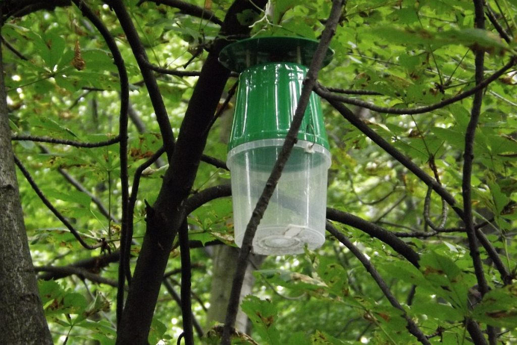 Tarnowskie G&oacute;ry