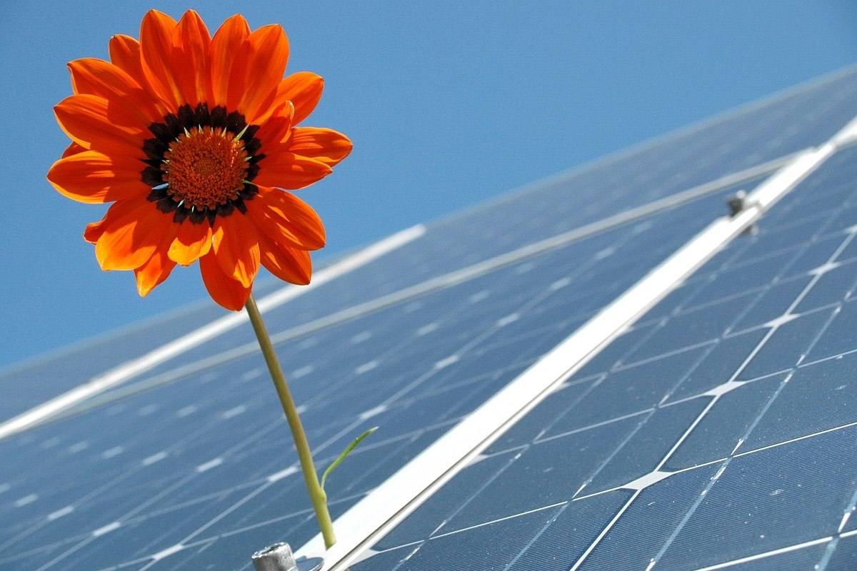 Zespół Przyrodniczo - Krajobrazowy Park w Reptach i Dolina rzeki Dramy