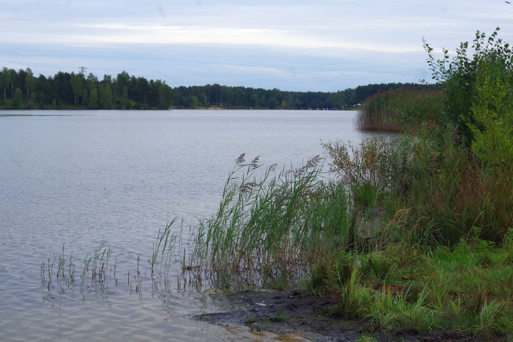 Tarnowskie G&oacute;ry