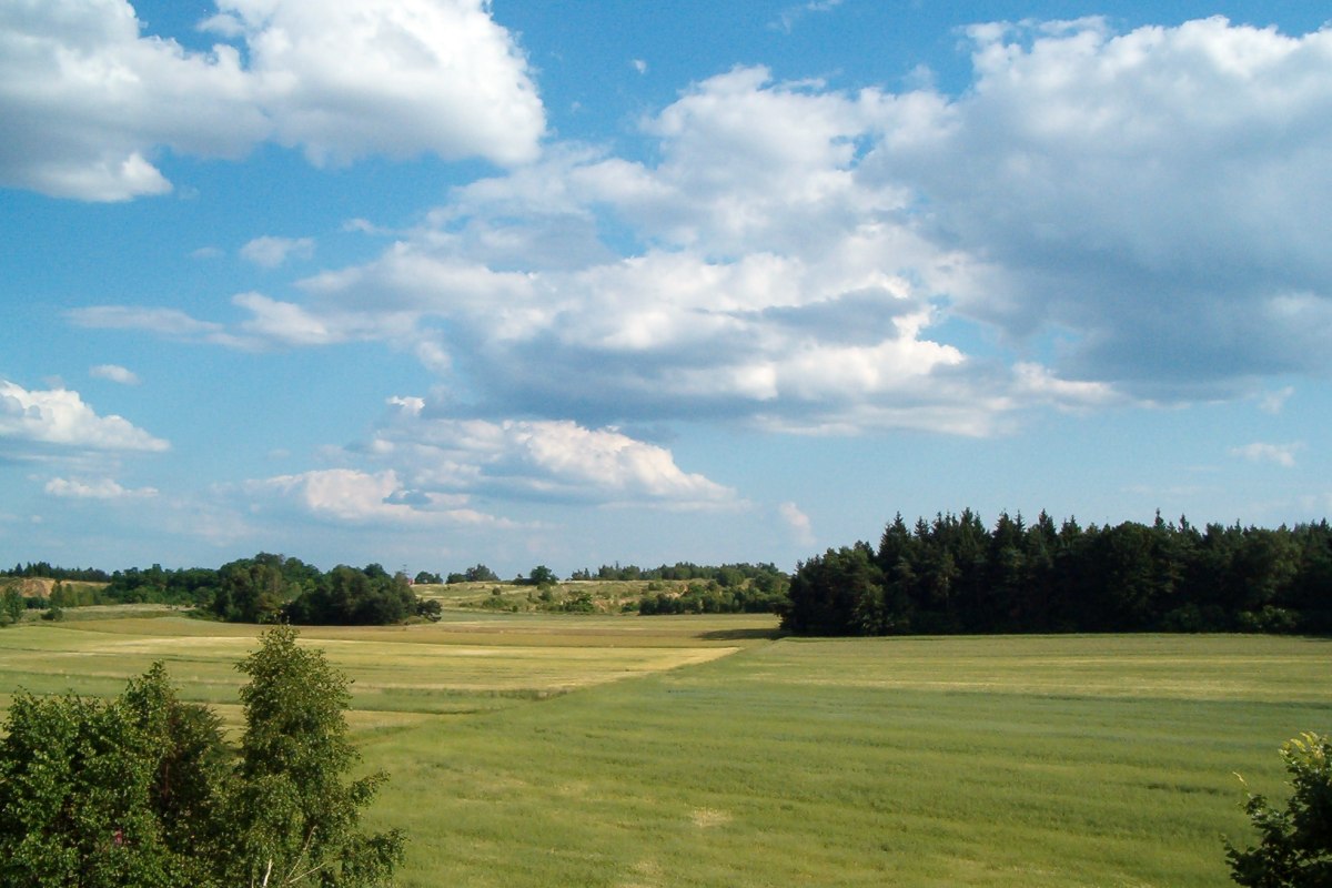 Park na Księżej Górze w Radzionkowie - fotografie