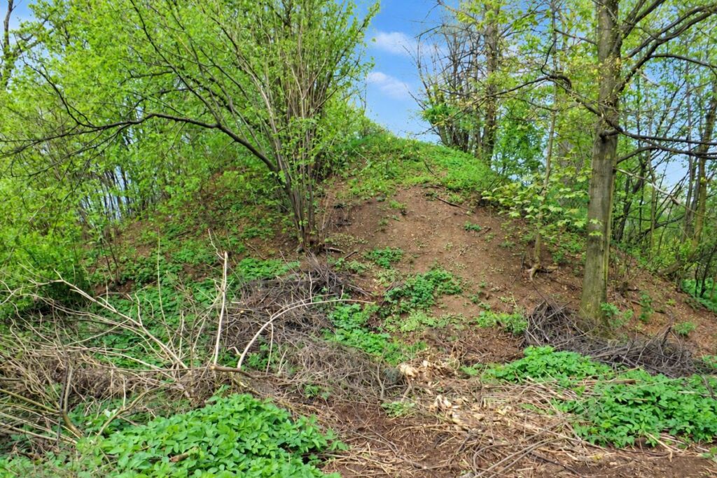 Park Kunszt w Tarnowskich G&oacute;rach - zielony pomnik początku ery przemysłowej