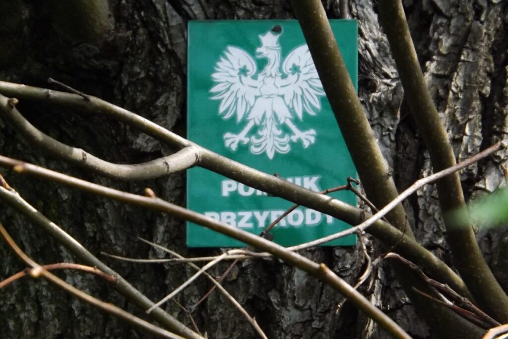 Park Kunszt w Tarnowskich G&oacute;rach - zielony pomnik początku ery przemysłowej